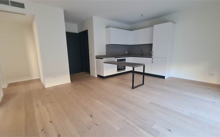 CHIASSO: NEW ELEGANT 2.5 ROOMS FLAT WITH GARDEN 