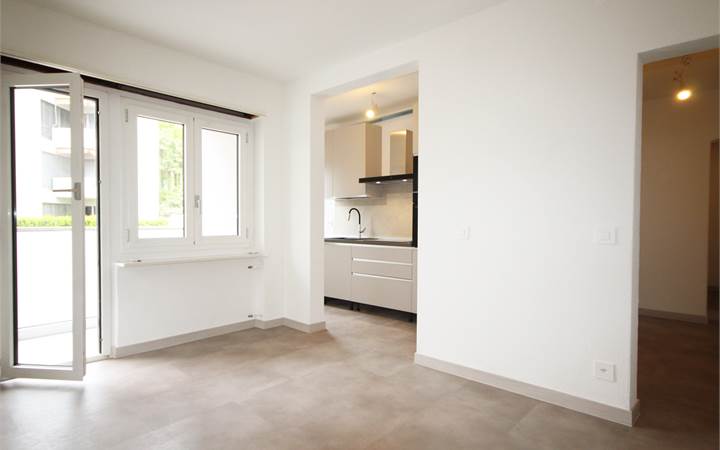 Newly renovated pacious 2.5-room apartment
