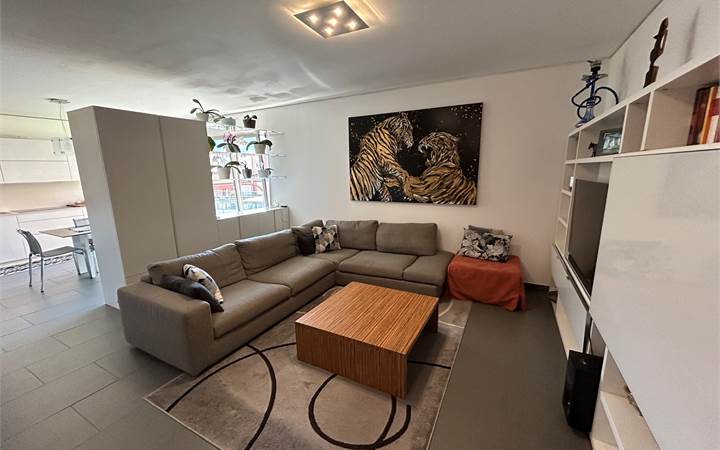 Lugano: 4,5 loc. arredato di recente costruzione