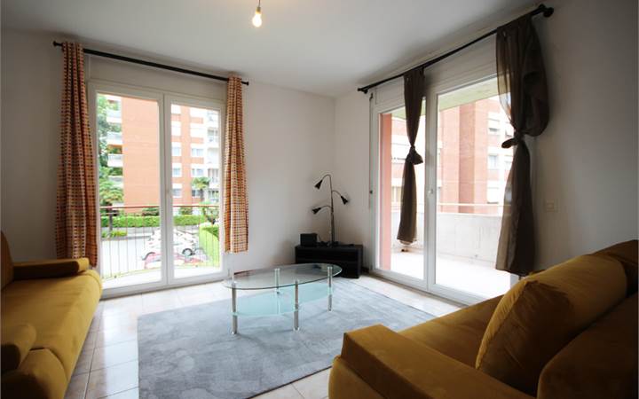 Lugano: spazioso 2,5 locali arredato