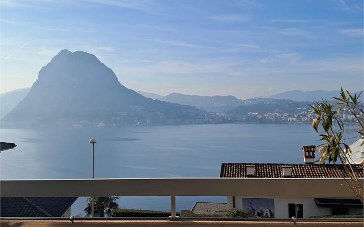 Renovated lakeview flat in a condominium with swimming pool