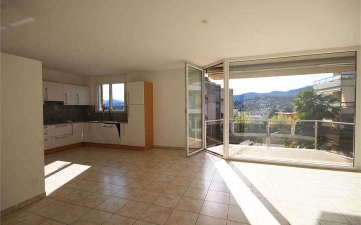 Viganello: spacious 4.5-room flat close to all amenities
