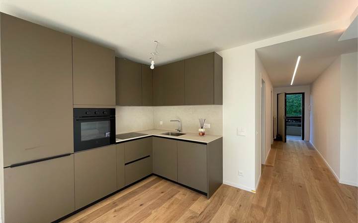 Lugano: elegante 3.5 locali ristrutturato con piscina